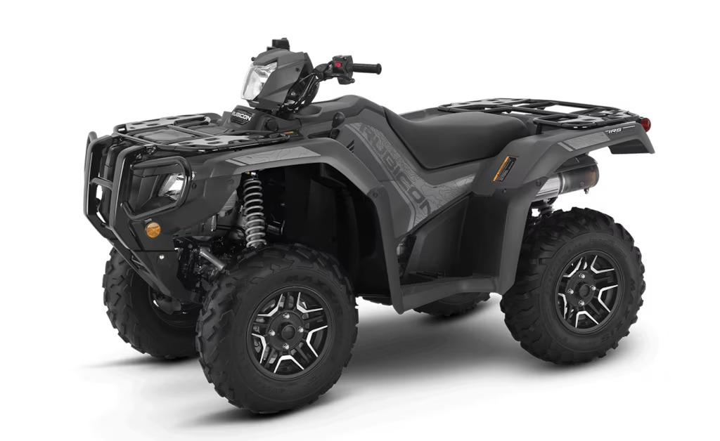 Model Image