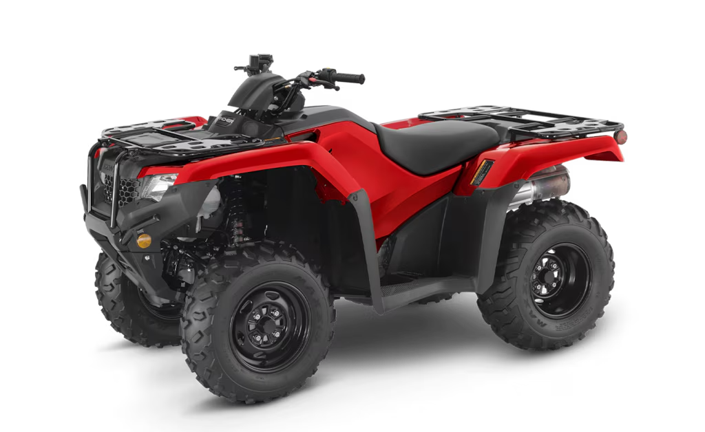 Model Image